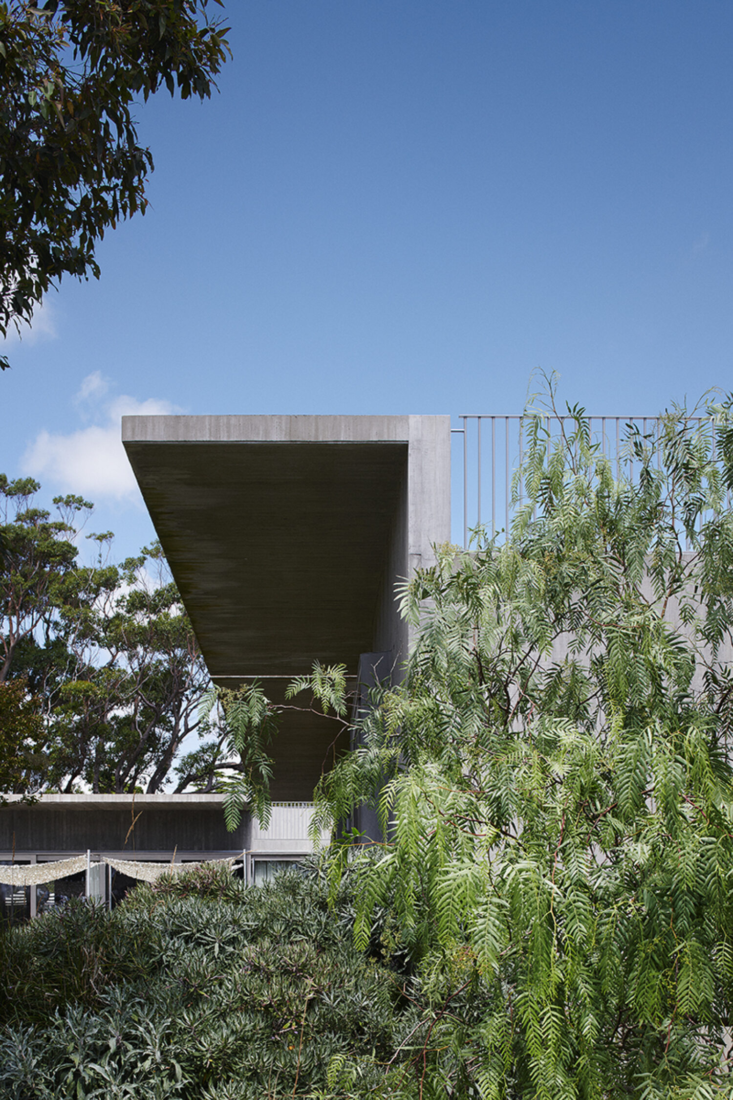 Mori House
