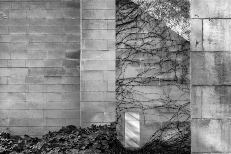 HEIDE MUSEUM OF MODERN ART